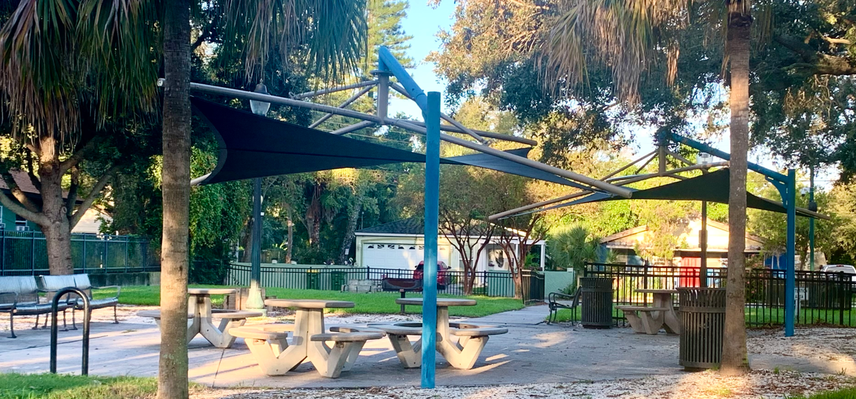 A picture containing tree, outdoor, ground, areaAI-generated content may be incorrect.