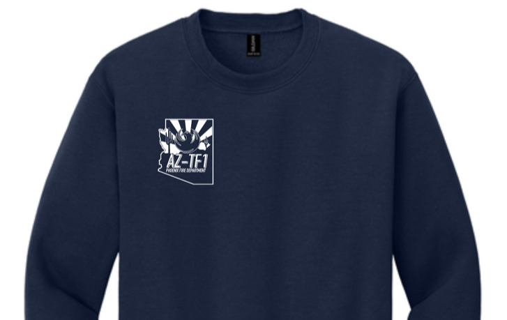 A blue sweatshirt with a logo on itAI-generated content may be incorrect.